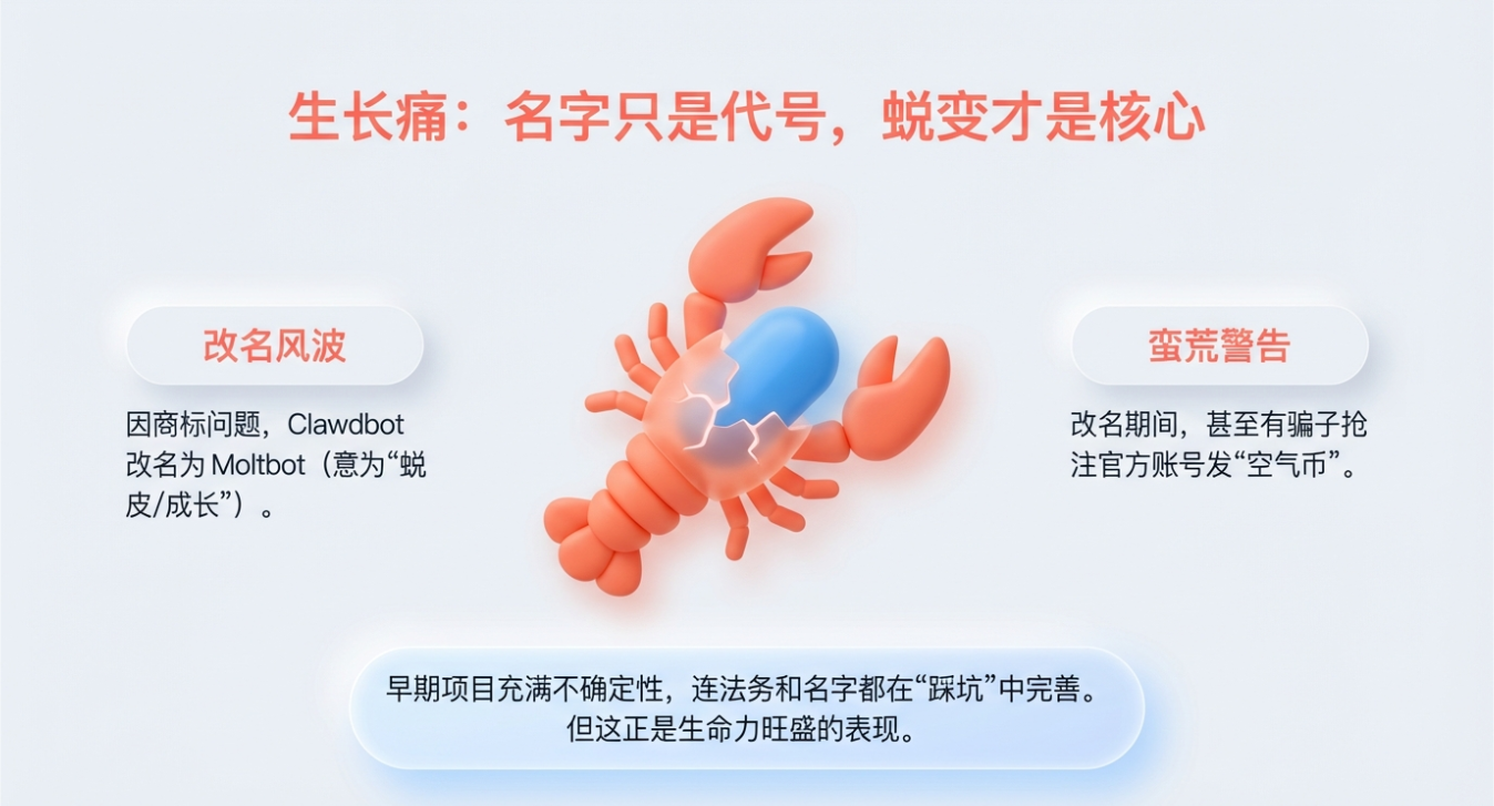 改名风波的蛮荒感